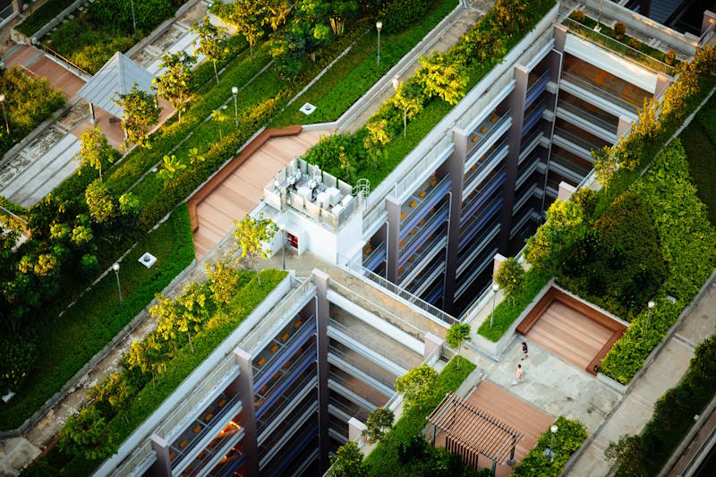 green-roof